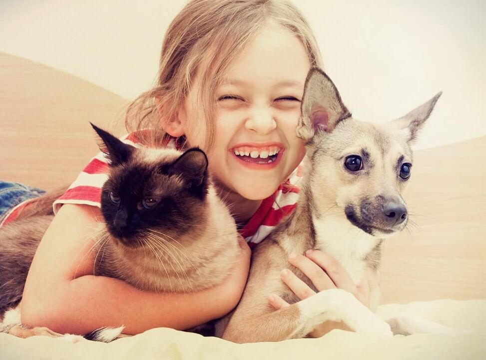 Pets can become a risk of helminth infection, especially for children