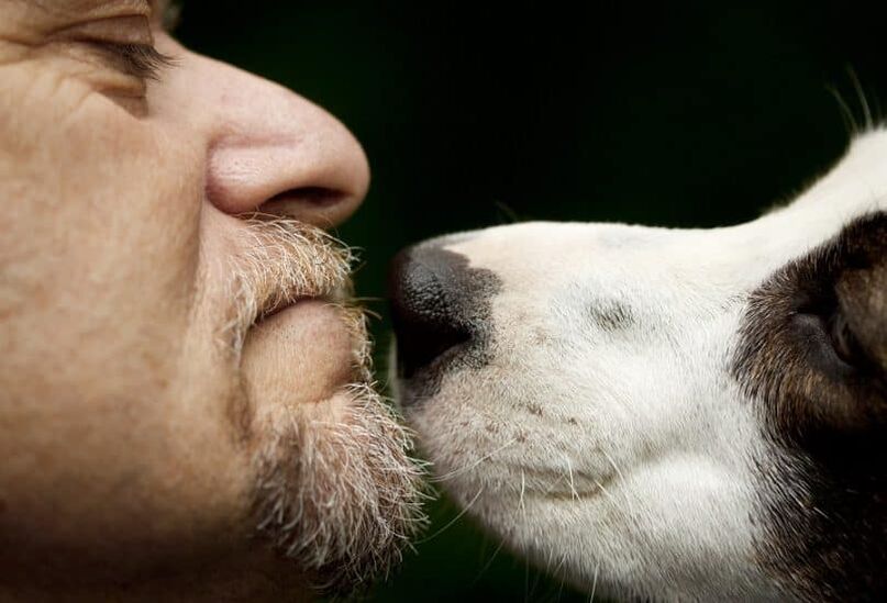 a man becomes infected with worms from a dog