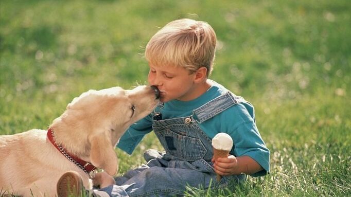 a boy gets worms from a dog