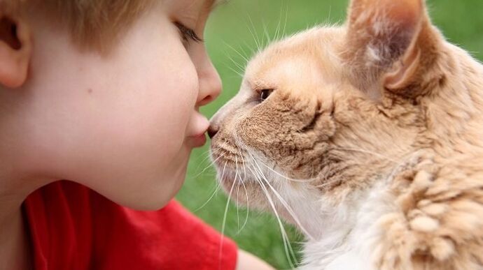 the child becomes infected with worms from the cat