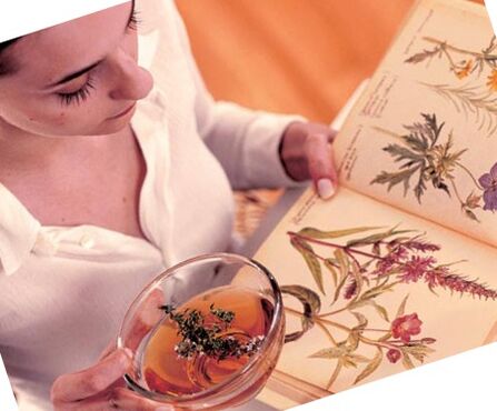 Folk recipes from parasites