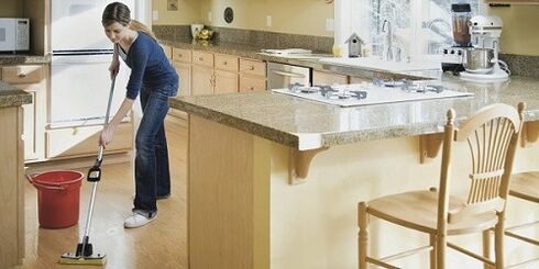 wet cleaning as a prevention of parasite infection